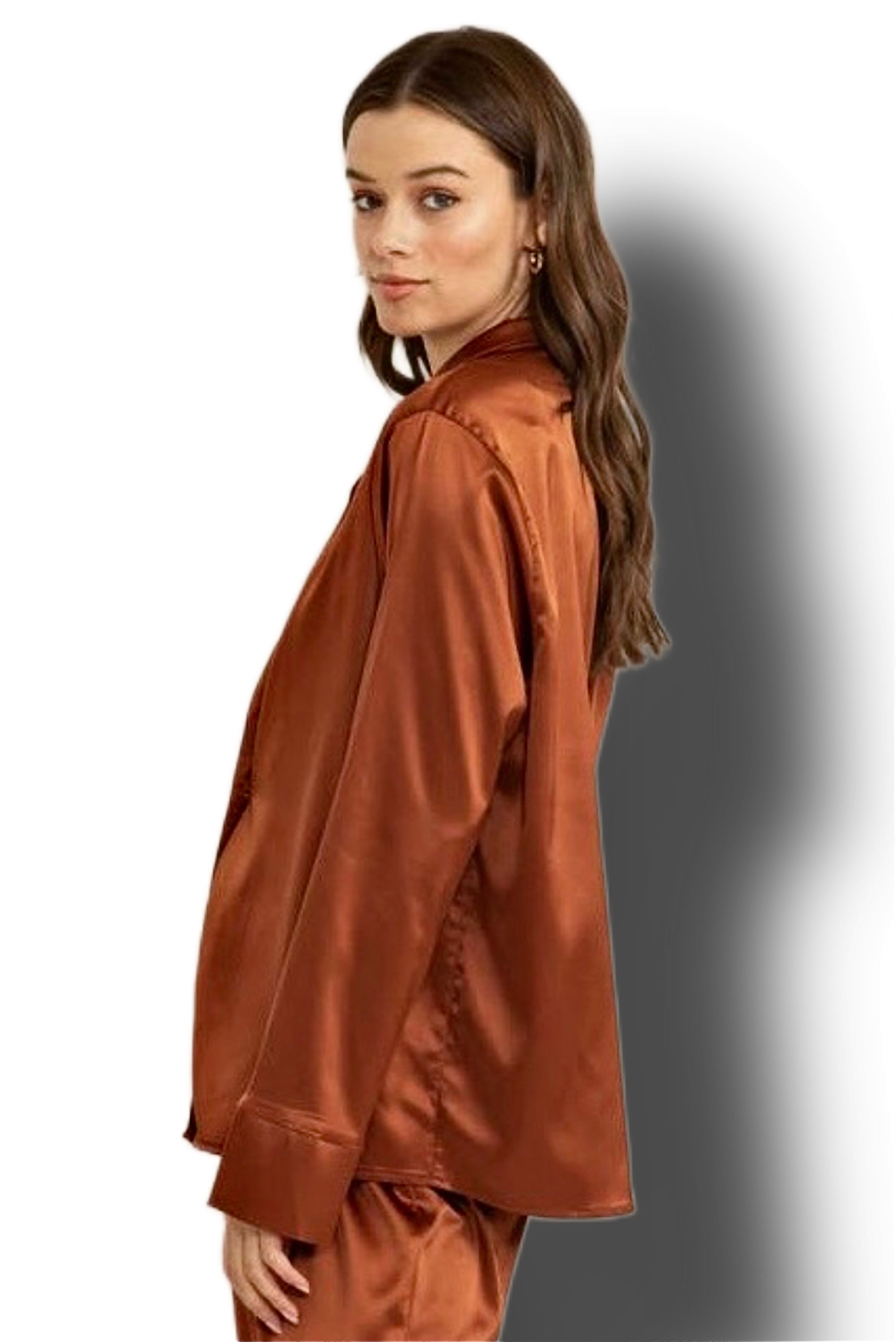 Satin Silk Long Sleeve Top