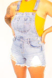 Distressed Denim Overalls